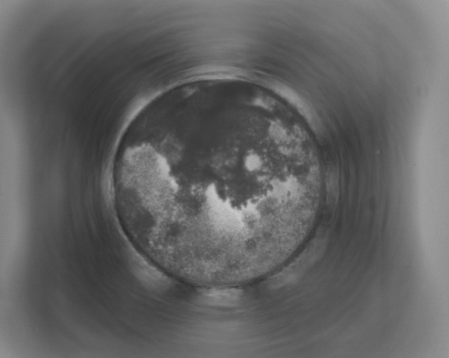 X0000111831466200908201141