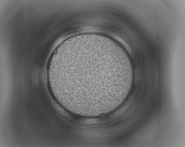 X0000111831467200908201141