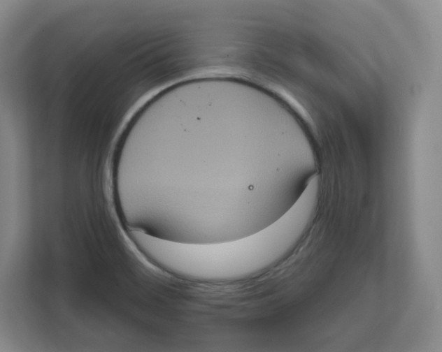 X0000111831468200908201141