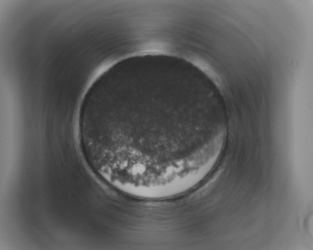 X0000111831469200908201141