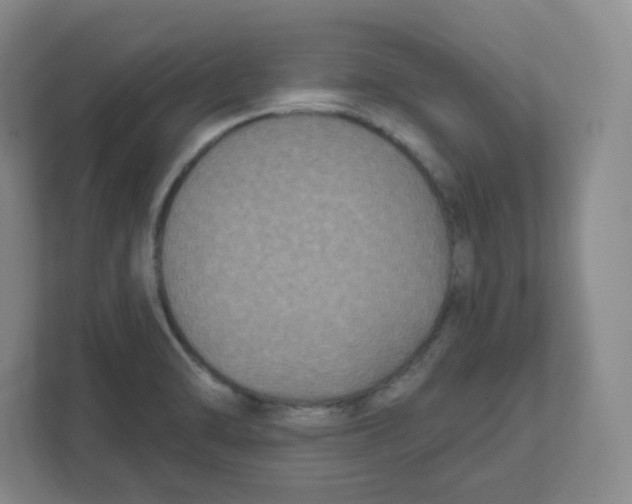 X0000111831470200908201141