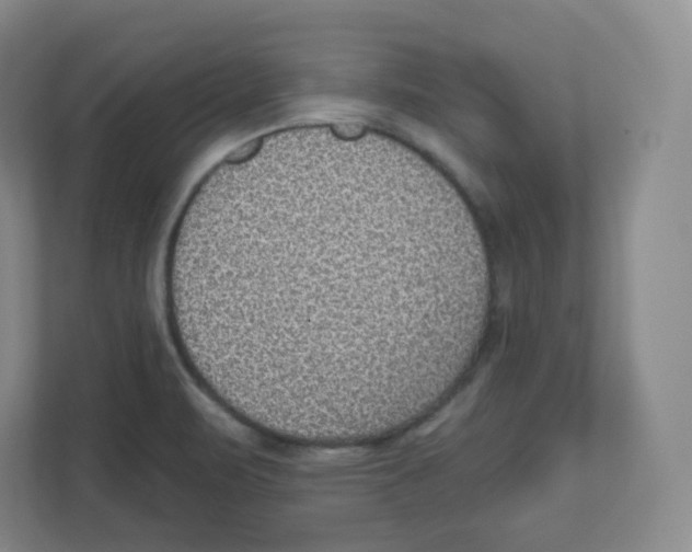 X0000111831471200908201141