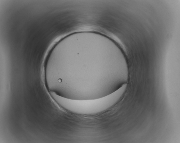 X0000111831472200908201141