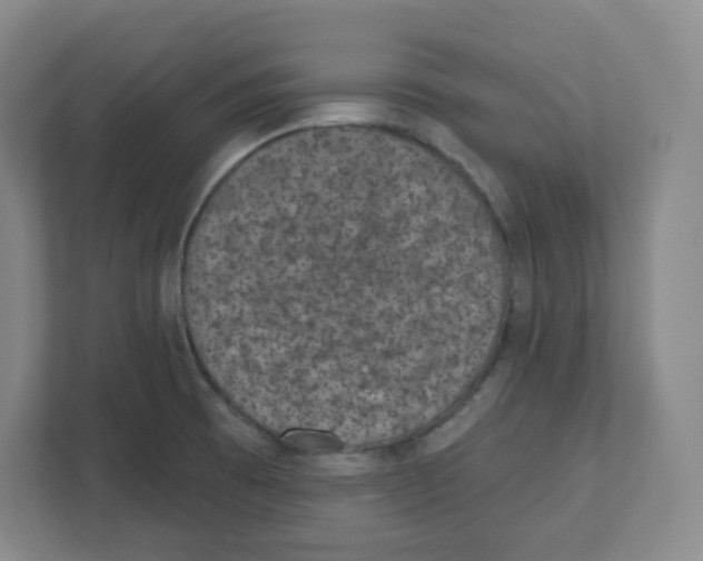 X0000111831473200908201141