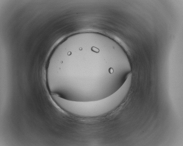 X0000111831476200908201141