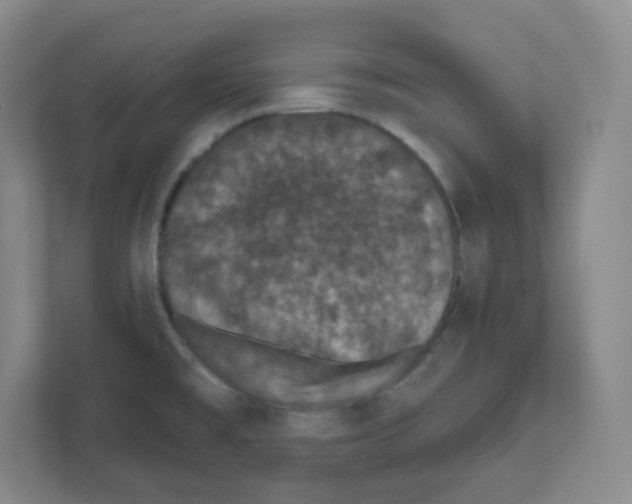 X0000111831477200908201141