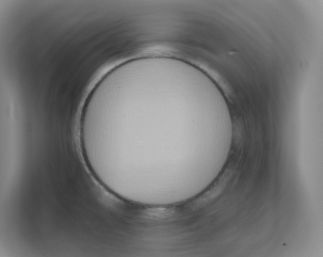 X0000111831478200908201141