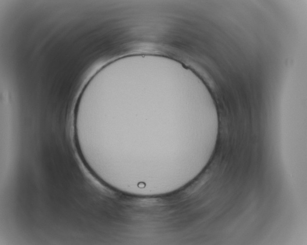 X0000111831479200908201141