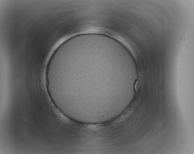 X0000111831480200908201141