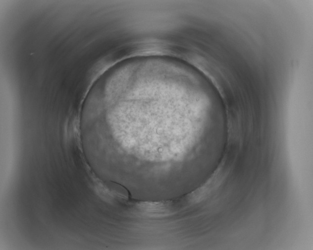 X0000111831481200908201141