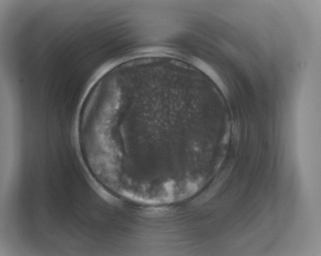 X0000111831482200908201141