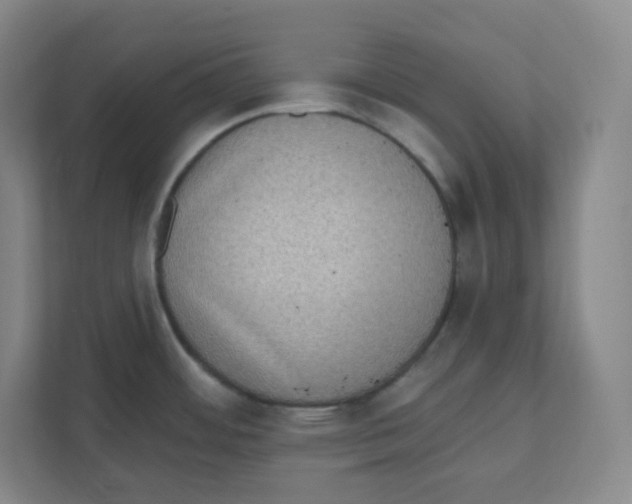 X0000111831484200908201141