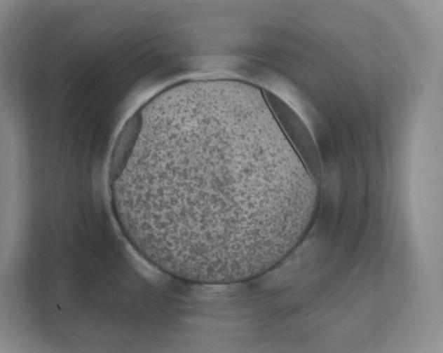 X0000111831485200908201141