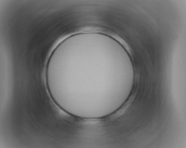 X0000111831486200908201141