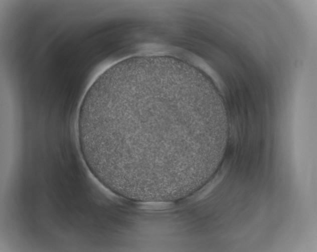 X0000111831487200908201141