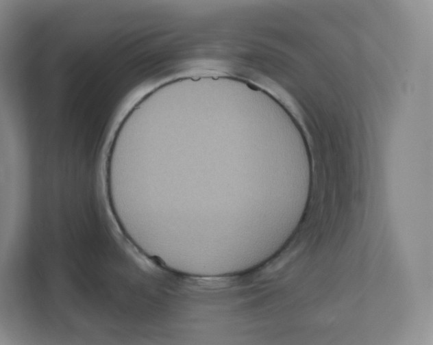 X0000111831488200908201141