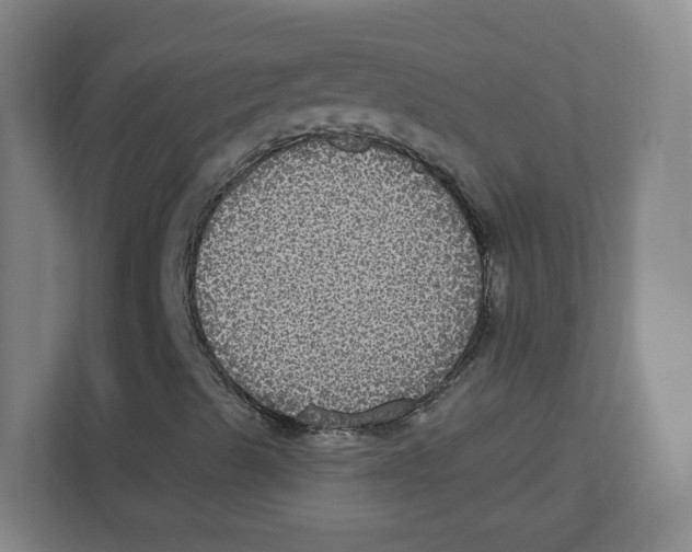 X0000111831489200908201140