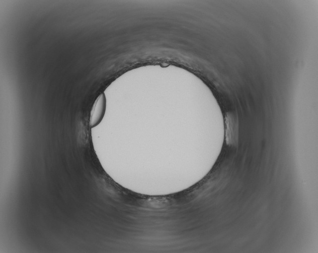 X0000111831491200908201140