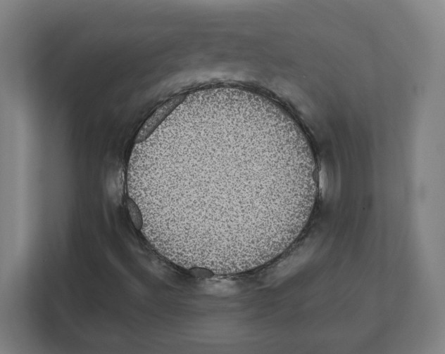 X0000111831492200908201140