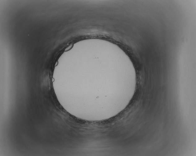 X0000111831493200908201140