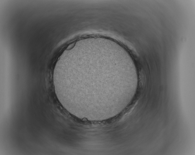 X0000111831494200908201140