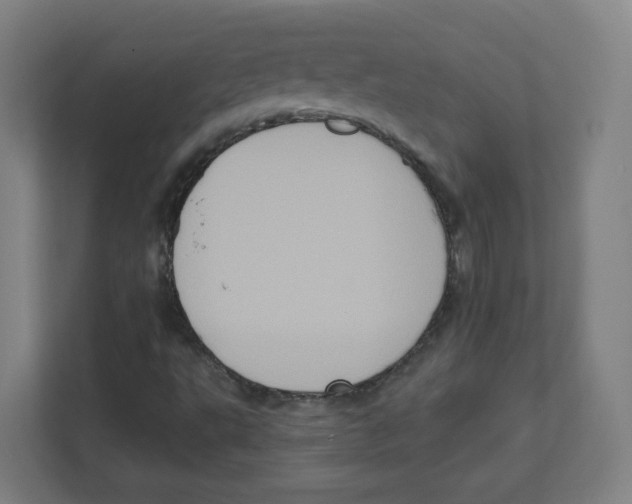 X0000111831495200908201140