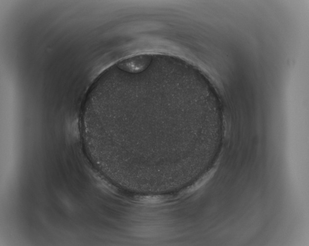 X0000111831497200908201140