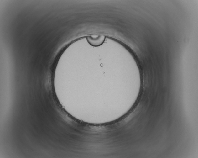 X0000111831498200908201140