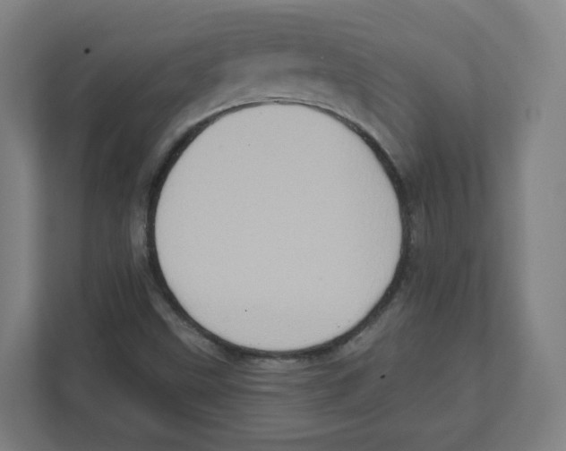 X0000111831499200908201140