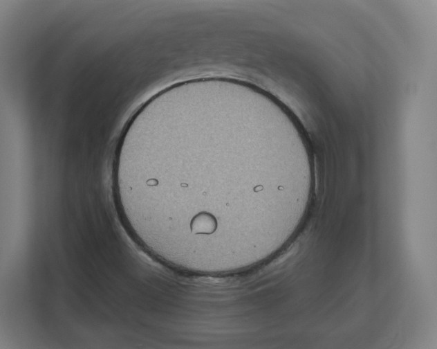 X0000111831500200908201140