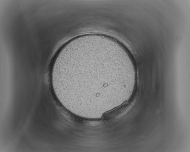 X0000111831501200908201140