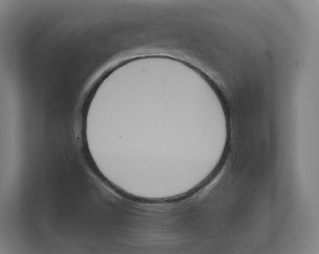 X0000111831502200908201140