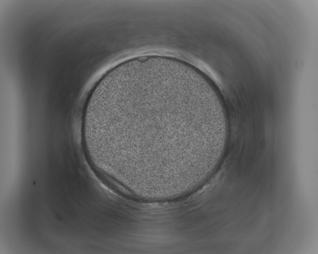 X0000111831504200908201140