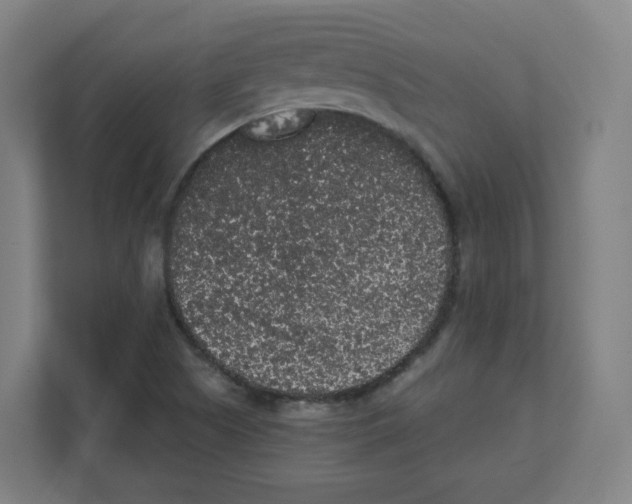 X0000111831505200908201140