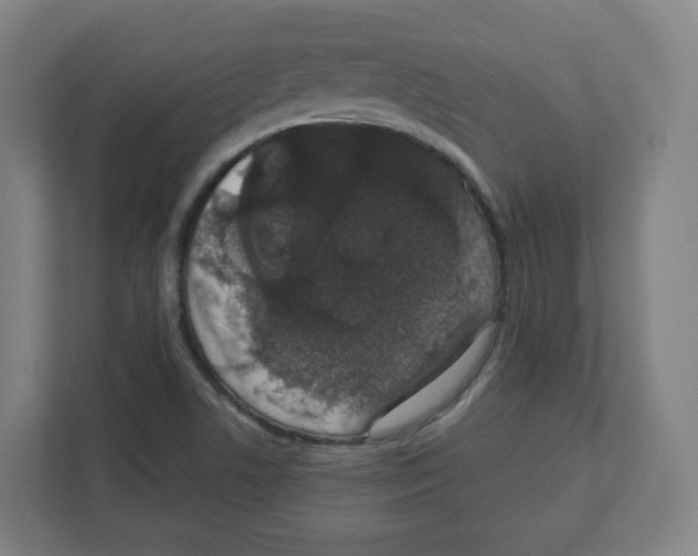 X0000111831506200908201140