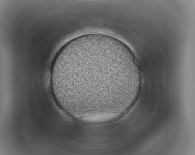 X0000111831507200908201140