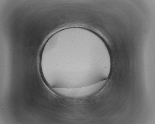 X0000111831508200908201140