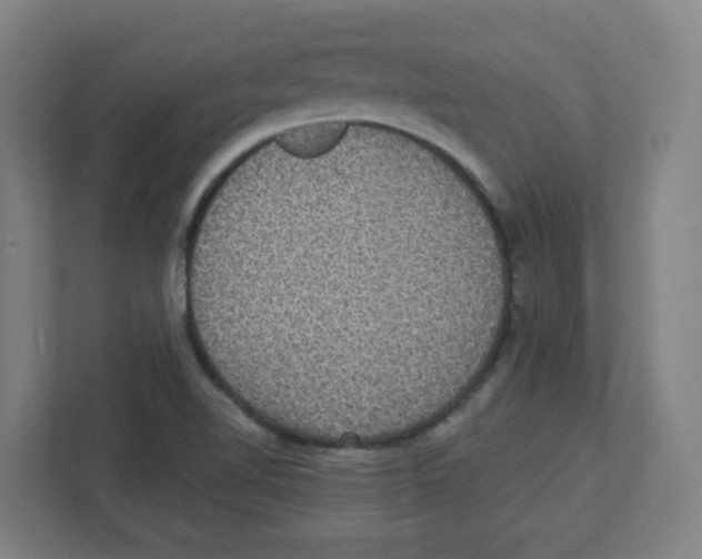 X0000111831510200908201140