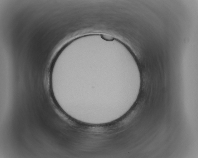 X0000111831511200908201140