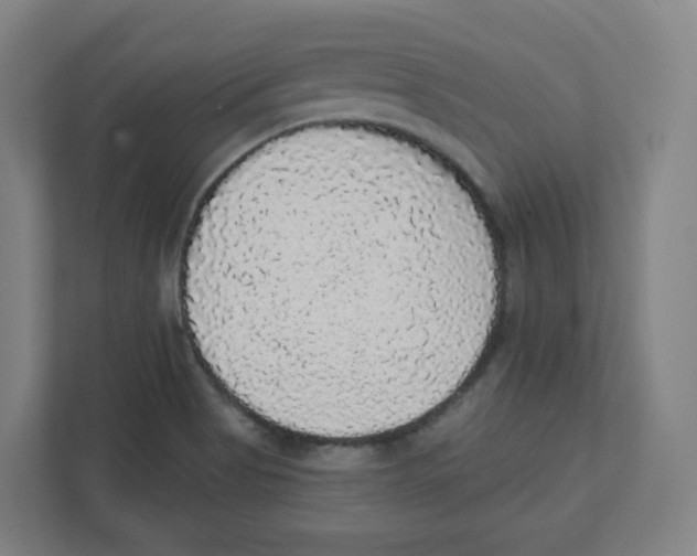 X0000111831513200908201140