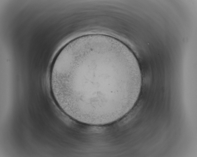 X0000111831514200908201140