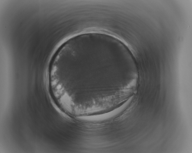 X0000111831515200908201140