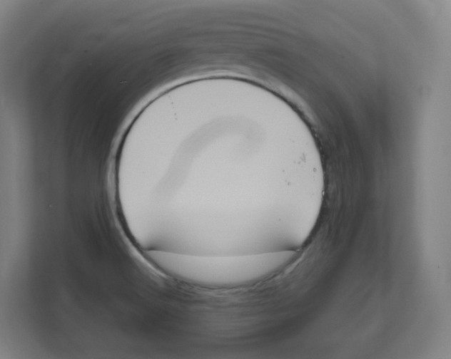 X0000111831516200908201140