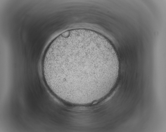 X0000111831517200908201140