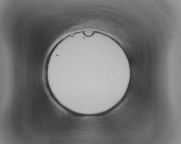 X0000111831518200908201140