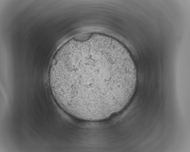 X0000111831521200908201140