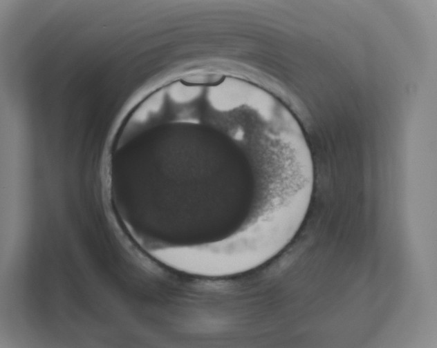 X0000111831522200908201140