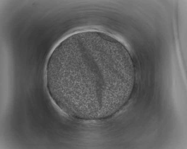 X0000111831524200908201140