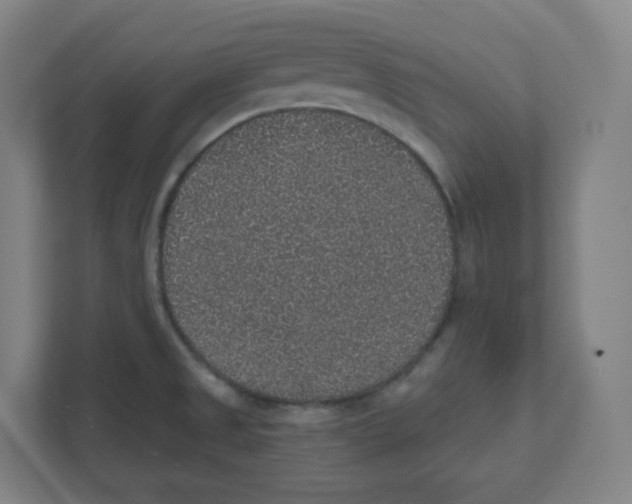 X0000111831525200908201140