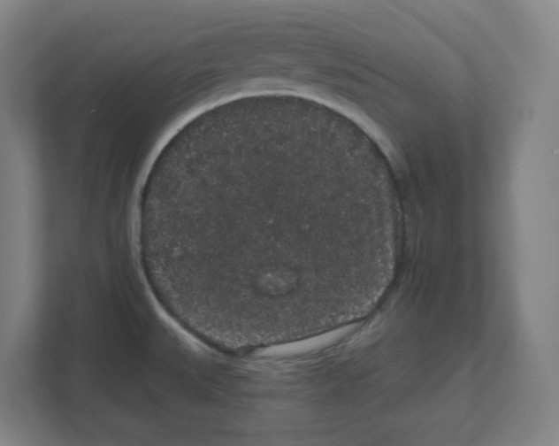 X0000111831527200908201140